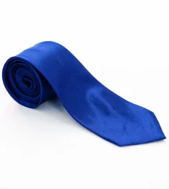 Cravatta uomo unisex elegante cerimonia casual basic raso blu royal GIOSAL-CP1057A