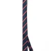 Cravattino Uomo Unisex Cravatta Pala Media Elegante Cerimonia Casual Basic Rigata Blu GIOSAL-CP1143A