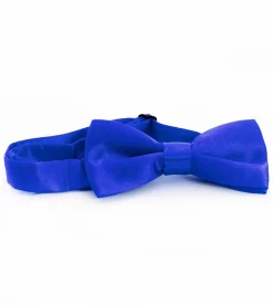 Papillon Farfalla Raso Uomo Unisex Cravattino Blu Royal Accessorio Elegante Cerimonia Casual Basic GIOSAL-CP1064A