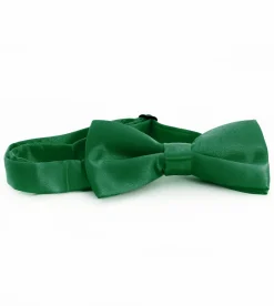 Papillon Farfalla Raso Uomo Unisex Cravattino Verde Accessorio Elegante Cerimonia Casual Basic GIOSAL-CP1067A
