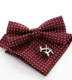 Set Pochette Papillon Gemelli Uomo Unisex Elegante Cerimonia Pois Bordeaux GIOSAL-CP1051A